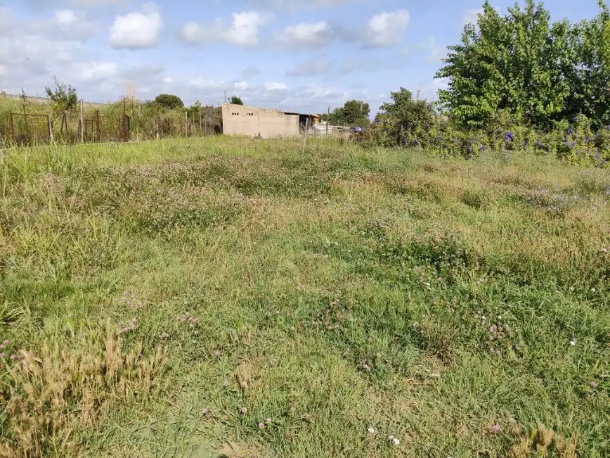 Rural land for sale in Polígono Número 40, Sueca, Spain, imagen 9