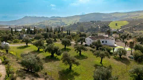 Foto 2 de Finca rústica en venta en Casarabonela, Málaga