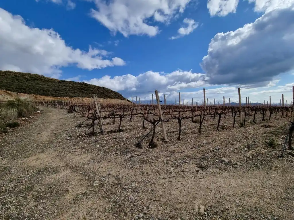 Terreni e lotti in vendita a Nevada, imagen 33