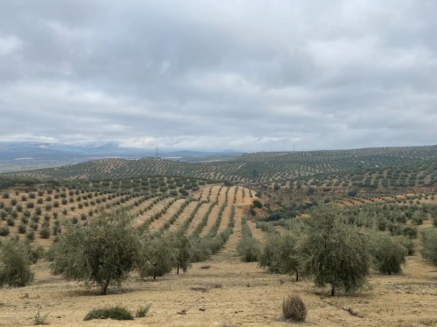Casa rustica in vendita a Huétor Tájar, imagen 16