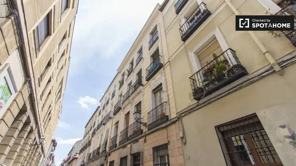 Pis de lloguer a Centro, imagen 13