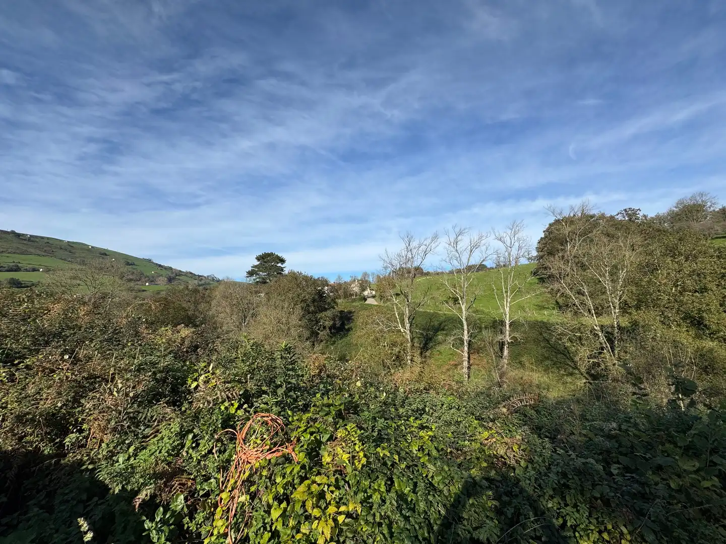 Finca rústica en venta en Karrantza Harana / Valle de Carranza