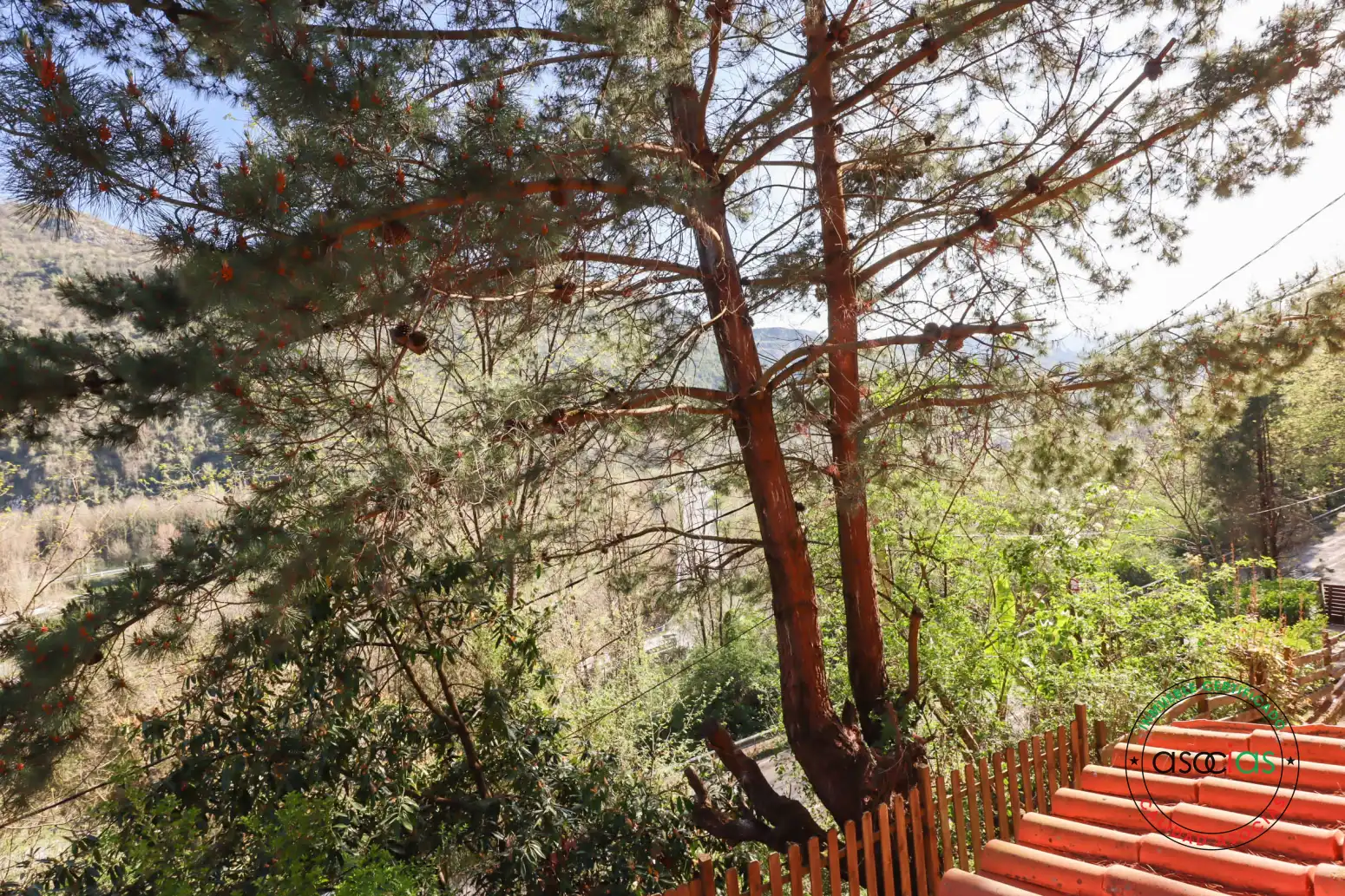 Jardí de Casa o xalet en venda en Oviedo  amb Calefacció, Jardí privat i Parquet