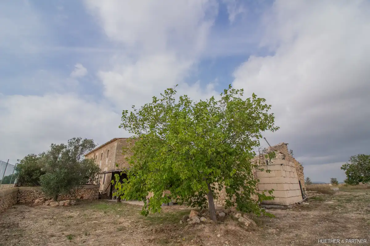 Maison rustique à vendre à Vilafranca de Bonany, imagen 23