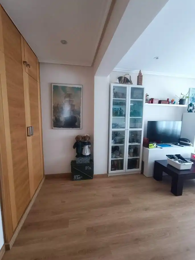 Sala d'estar de Pis de lloguer en A Coruña Capital  amb Calefacció i Moblat
