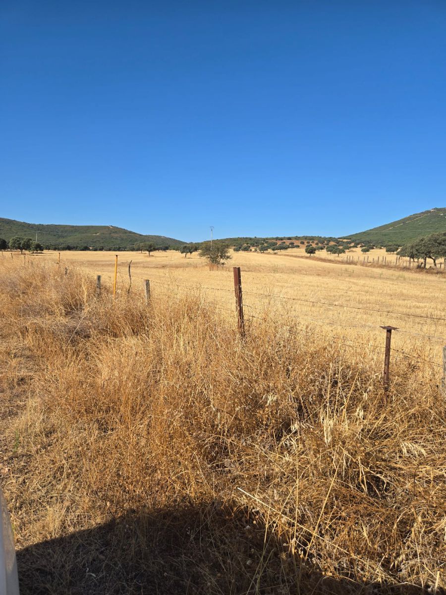 Country house for sale in Los Yébenes