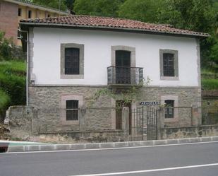 Vista exterior de Finca rústica en venda en Peñamellera Alta amb Jardí privat