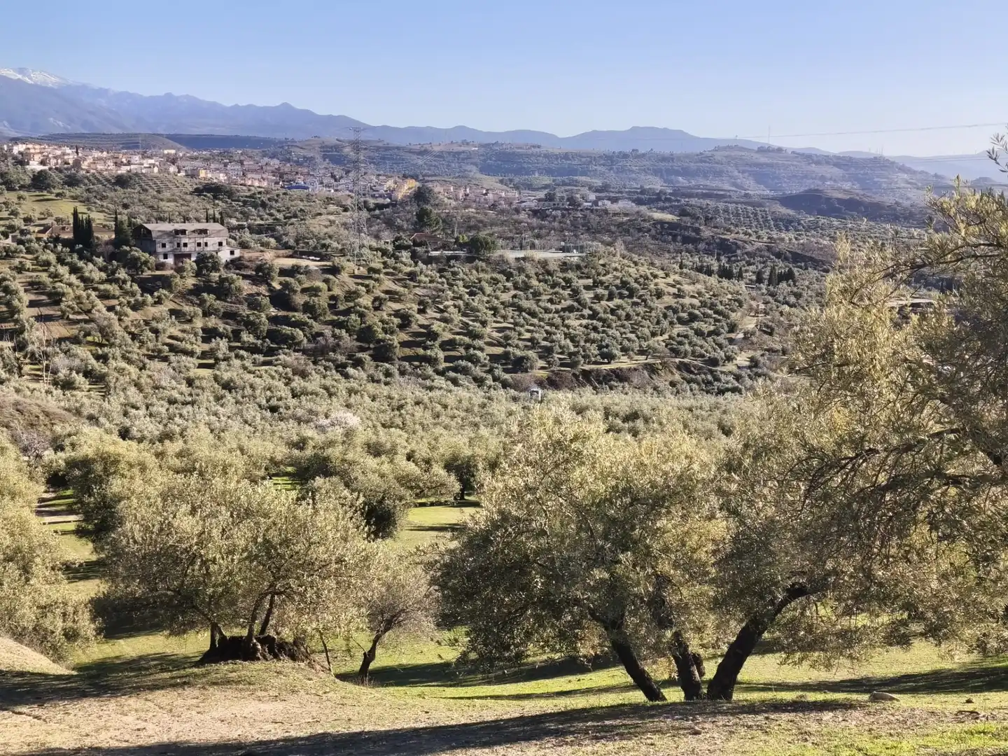 Lands and plots for sale in Alfacar, imagen 12