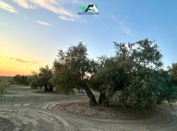 Terreni e lotti in vendita a Begíjar, imagen 4