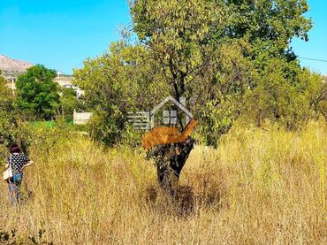 Terreny residencial en venda a Vélez-Rubio
