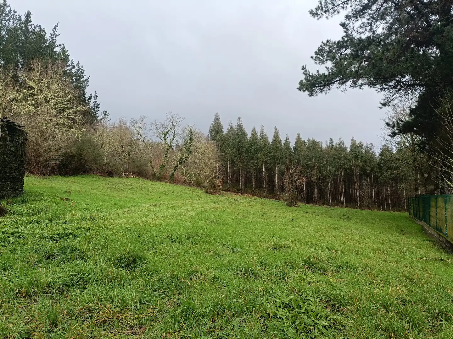 Casa o xalet en venda en Guitiriz amb Jardí privat