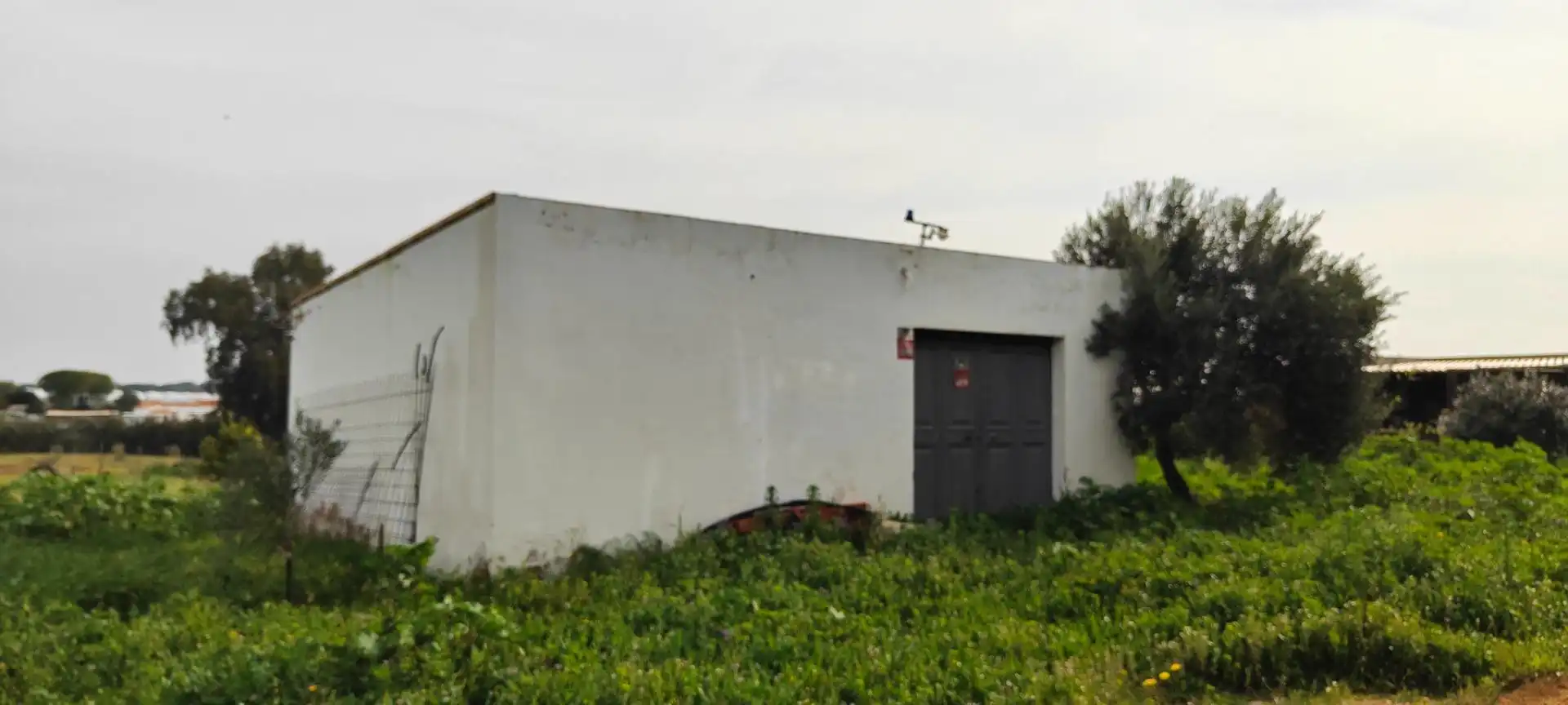 Country homes for sale in Gibraleón