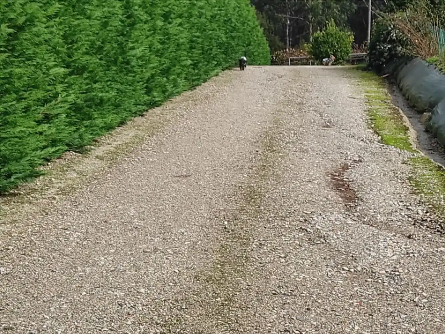 Vista exterior de Planta baixa en venda en Cambre  amb Jardí privat, Piscina i Moblat