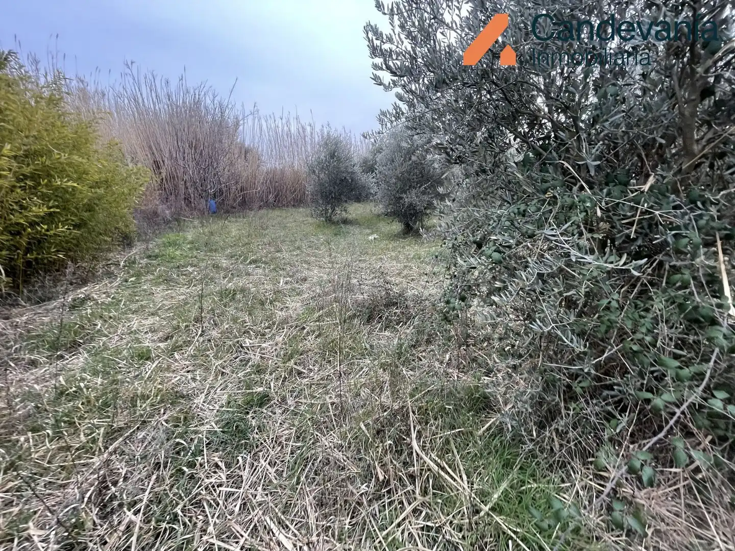 Terreni e lotti in vendita a Zuera, imagen 10