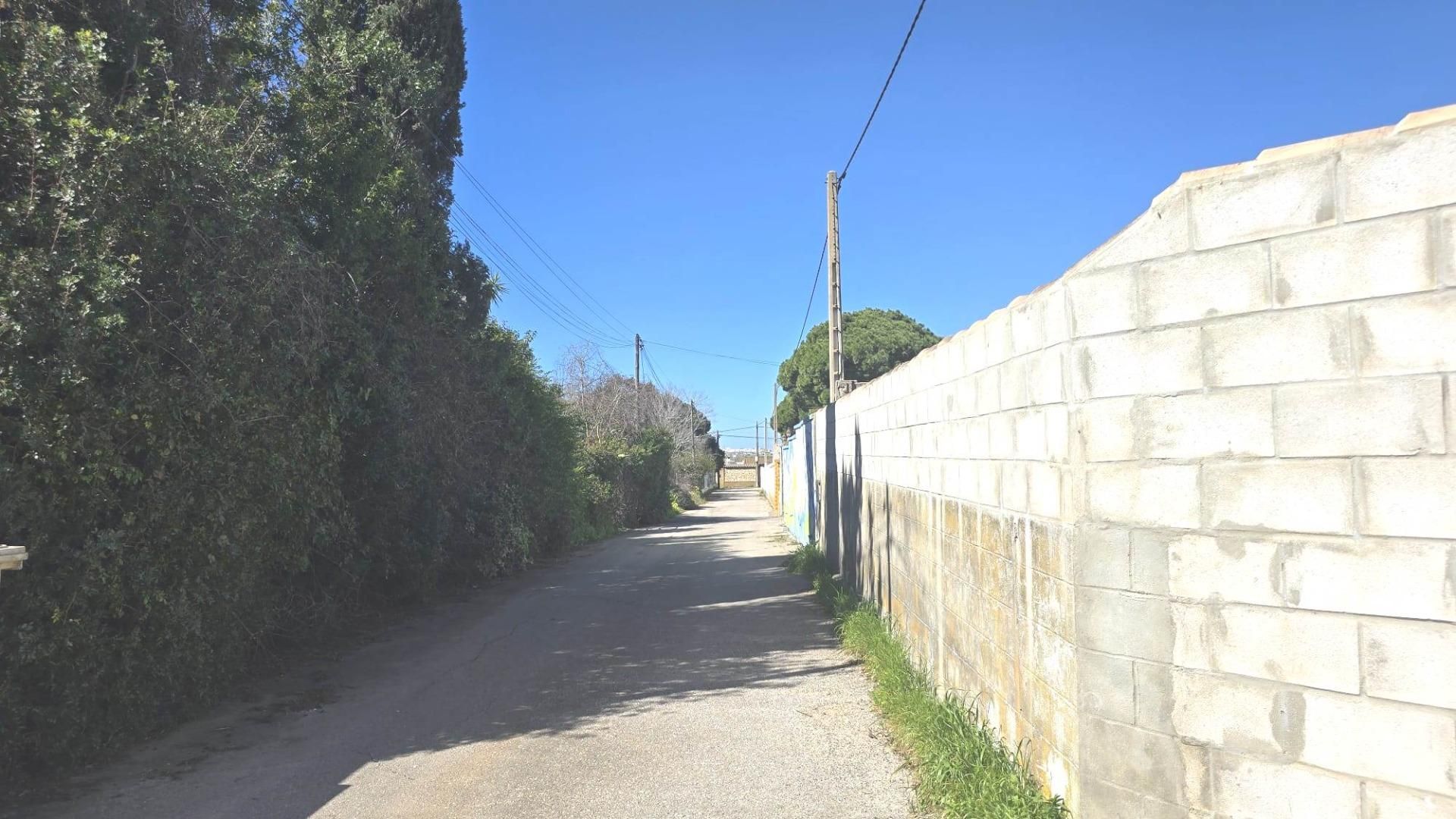 Vista exterior de Finca rústica en venda en Chiclana de la Frontera amb Jardí privat