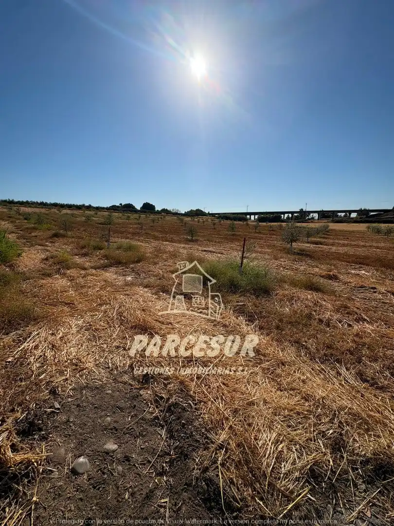Terreno rustico in vendita a Periurbano Oeste - Sierra, imagen 13