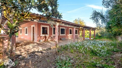 Foto 3 de Finca rústica en venta en Algaida, Illes Balears