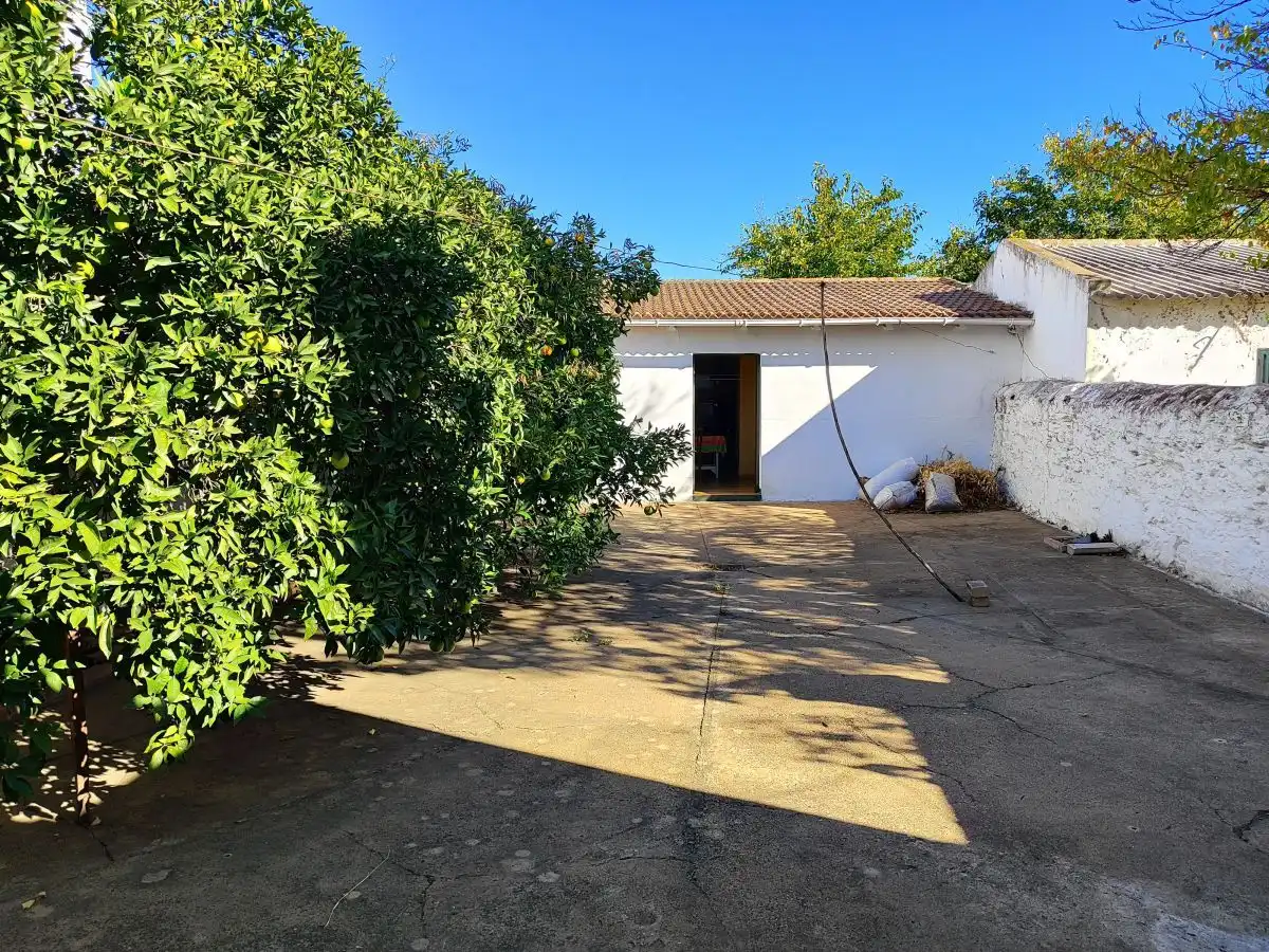 Exterior view of Houses for sale in San Bartolomé de la Torre  with Terrace