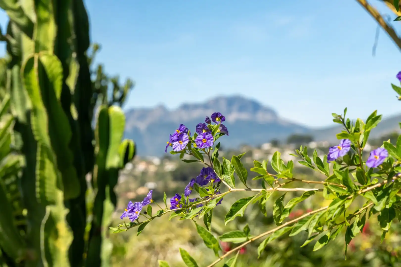 Jardín de Finca rústica en venta en Benissa con Aire acondicionado, Calefacción y Jardín privado