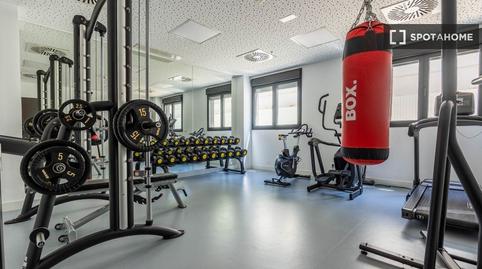 Photo 4 of Study to share in Sector Sur  - La Palmera - Reina Mercedes, Sevilla