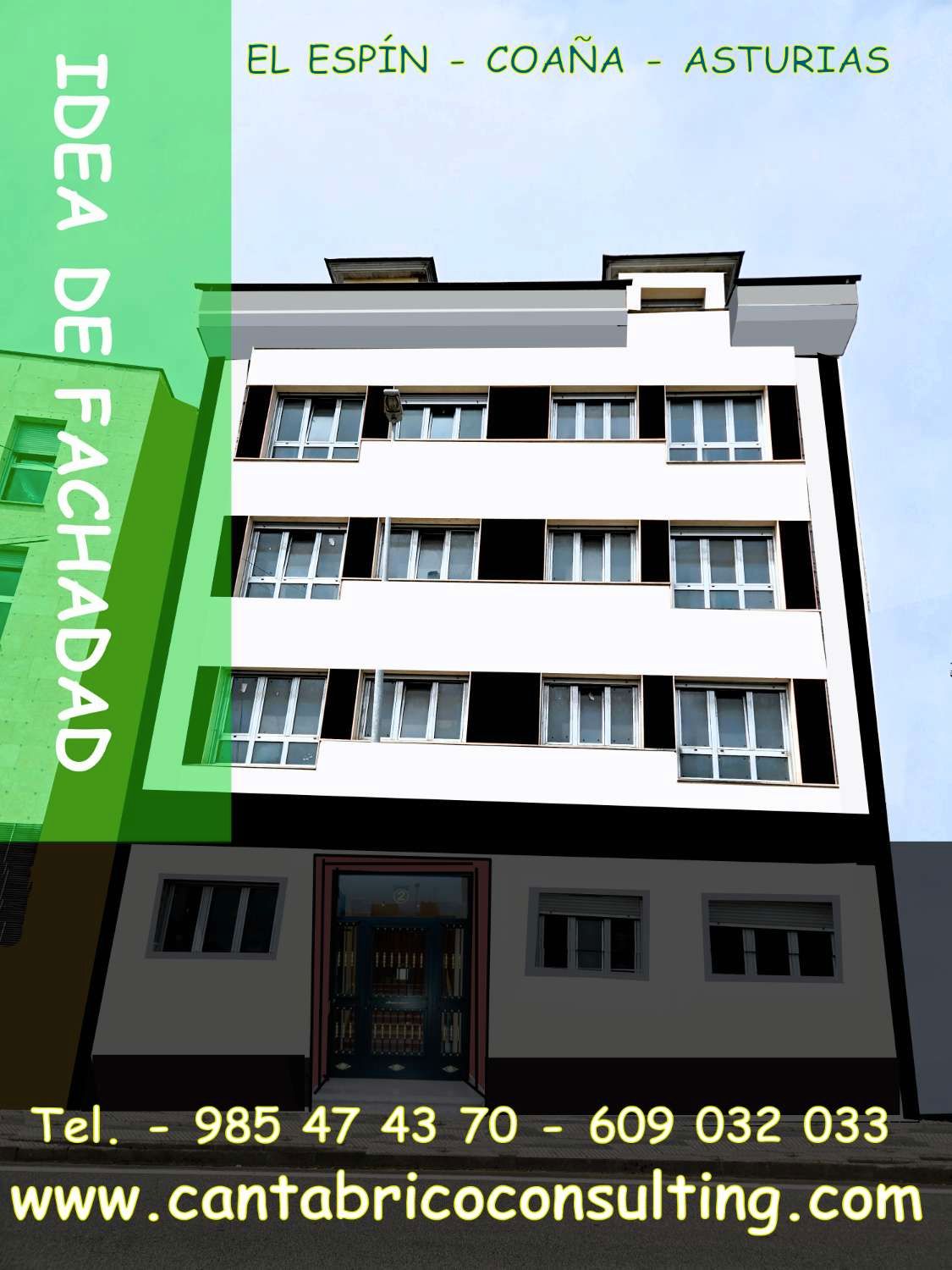 Vista exterior de Pis en venda en Coaña amb Calefacció