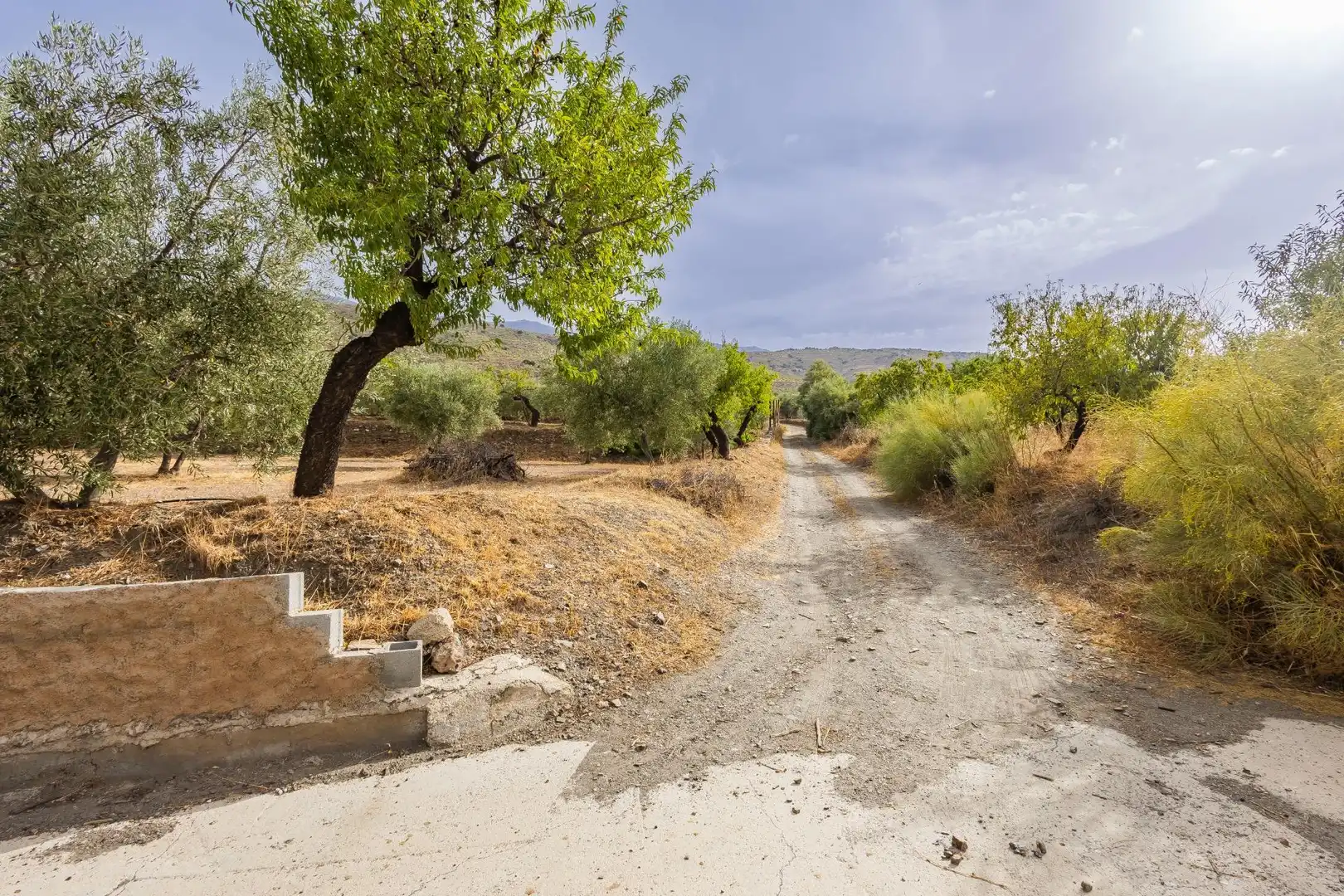 Country homes for sale in Abrucena  with Storage room