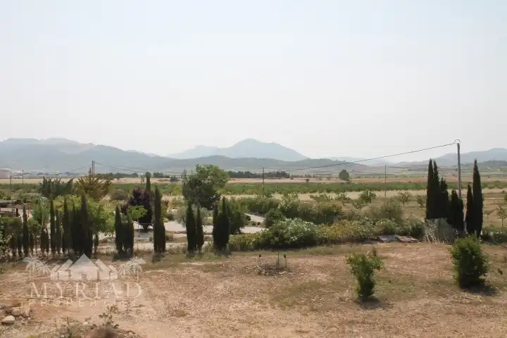 Landhaus zum Verkauf in El Pinós / Pinoso, imagen 7