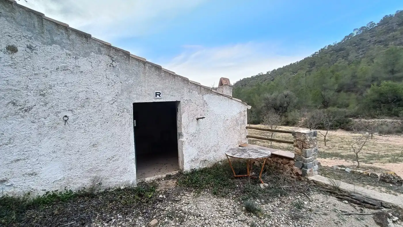 Terreny rústic en venda a Miravet, imagen 12
