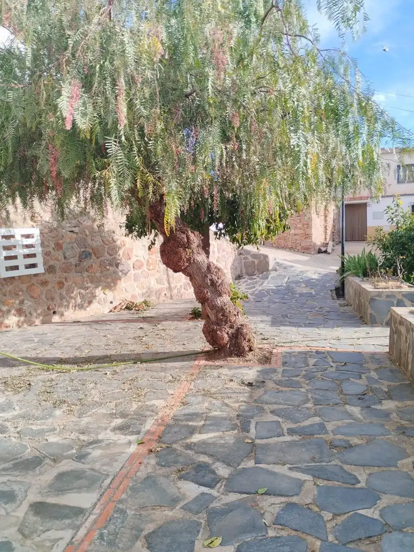 Casa rústica en venda a Calle de la Fuentecilla, imagen 48