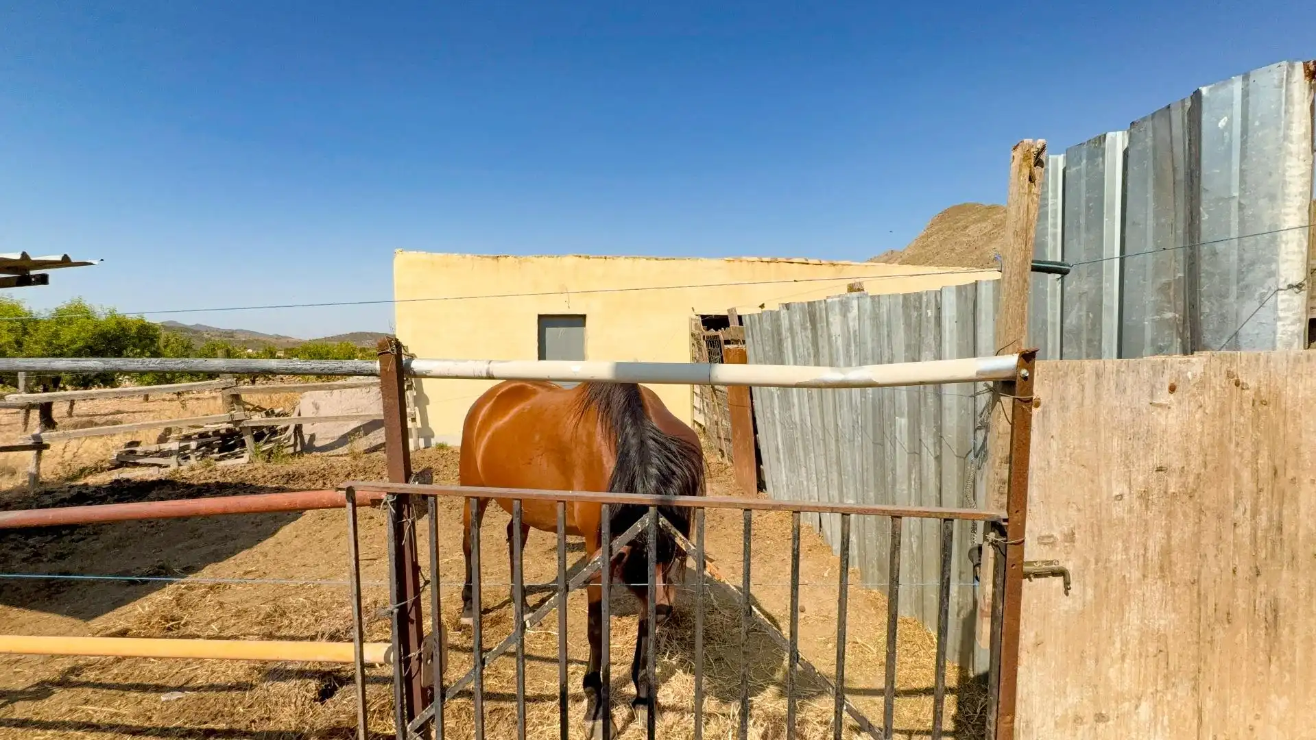 Vista exterior de Casa o chalet en venta en Orihuela con Calefacción, Jardín privado y Terraza