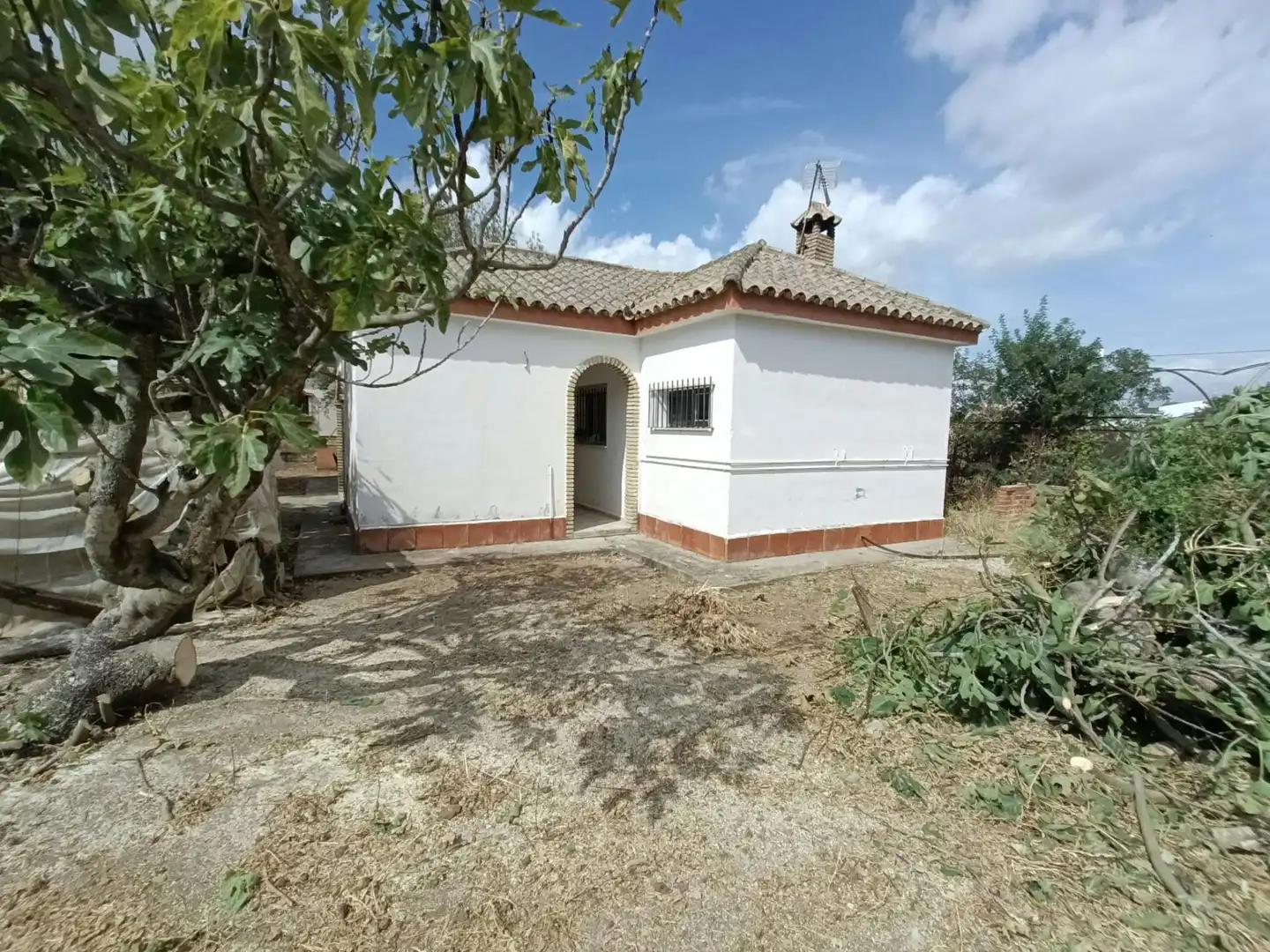 Villa zum Verkauf in Los Franceses – La Vega