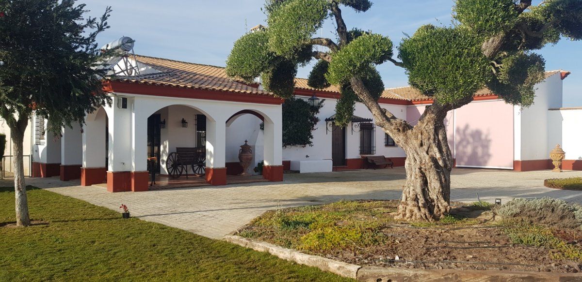 Vista exterior de Finca rústica en venda en Alcalá del Río amb Aire condicionat, Calefacció i Jardí privat