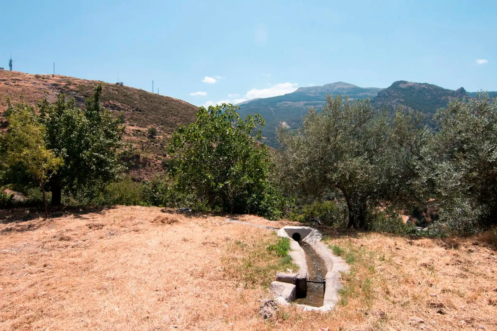 Vista exterior de Finca rústica en venta en Güéjar Sierra con Terraza, Piscina y Balcón
