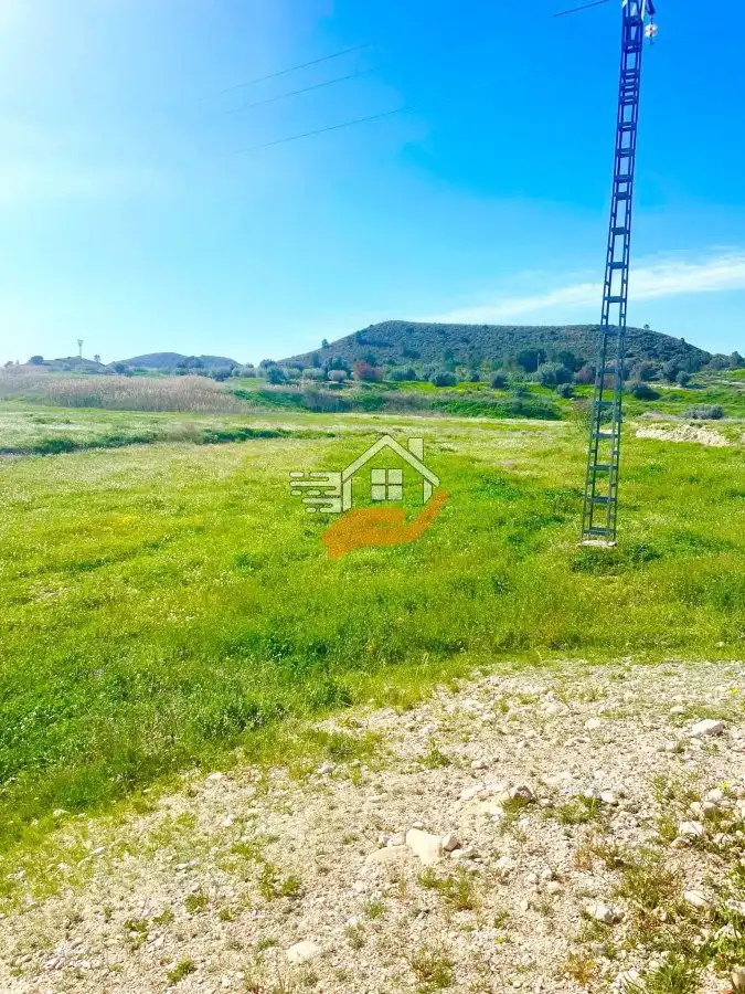 Lands and plots for sale in Pedanías Norte, imagen 19