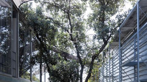 Foto 4 de Casa o xalet de lloguer a Las Matas - Peñascales, Las Rozas de Madrid
