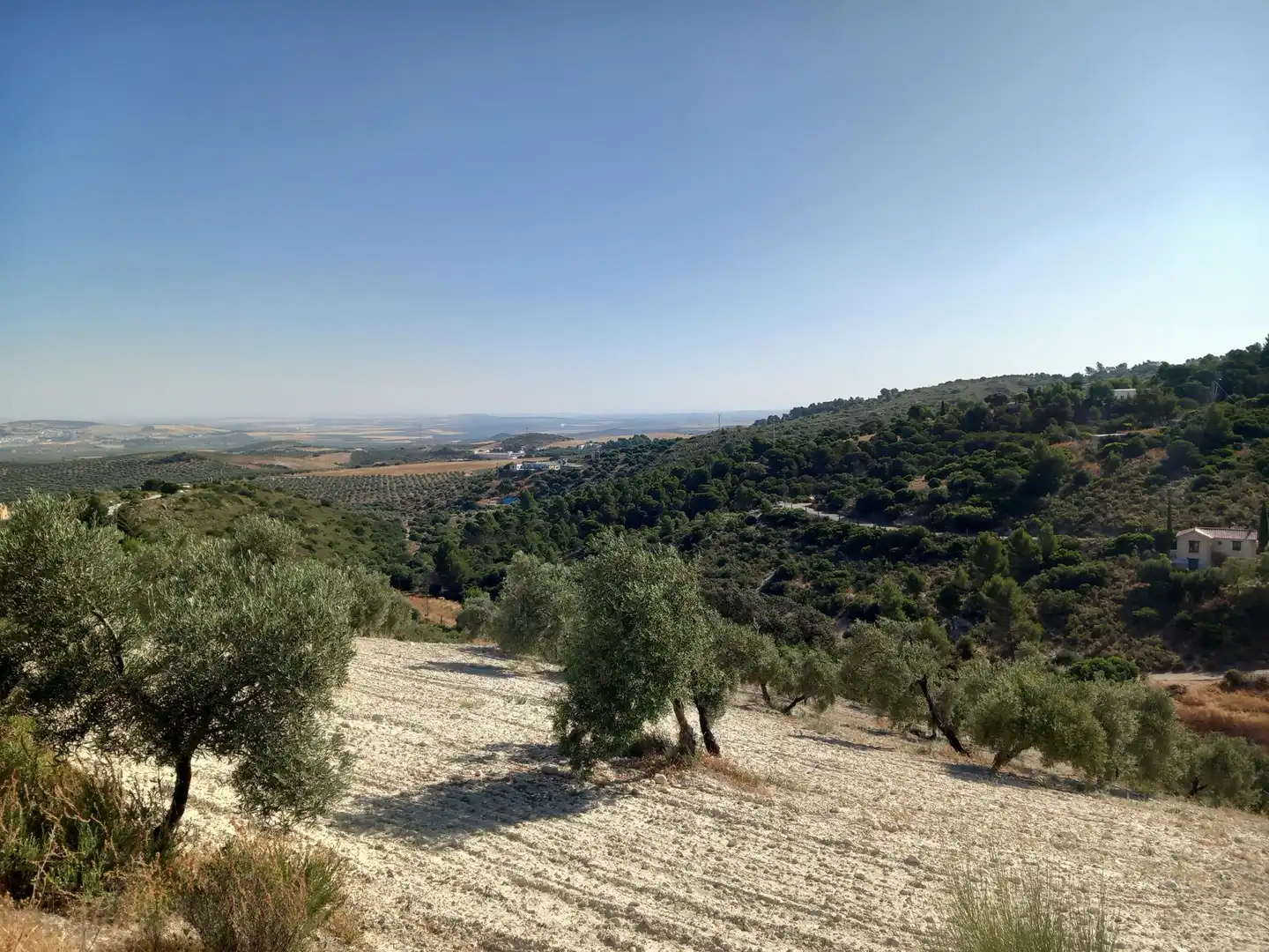 Finca rústica en venta en San Antonio O Guardarropa Pol 115.par 8,9 y 15, Osuna