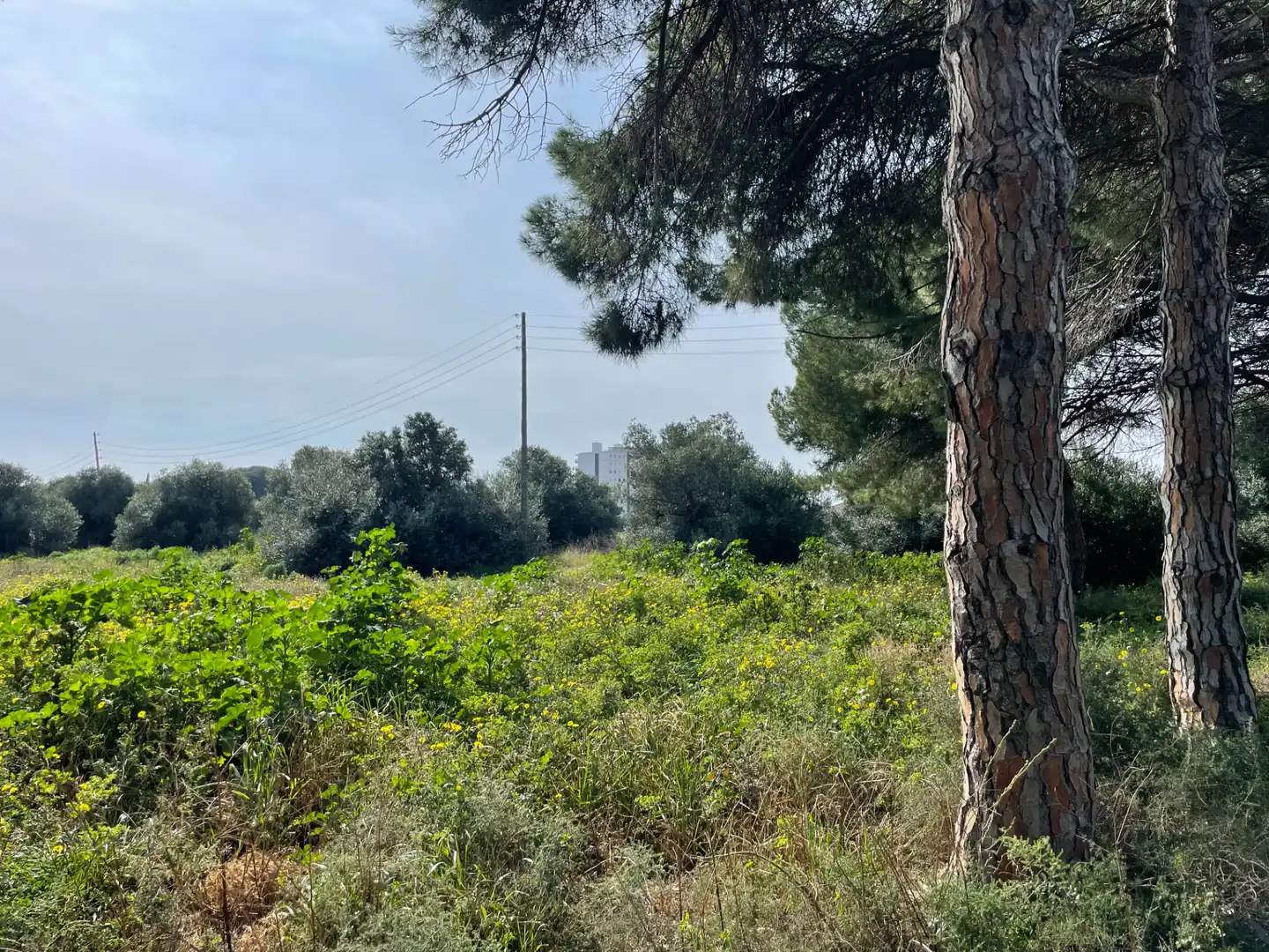 Residential zum Verkauf in Cambrils