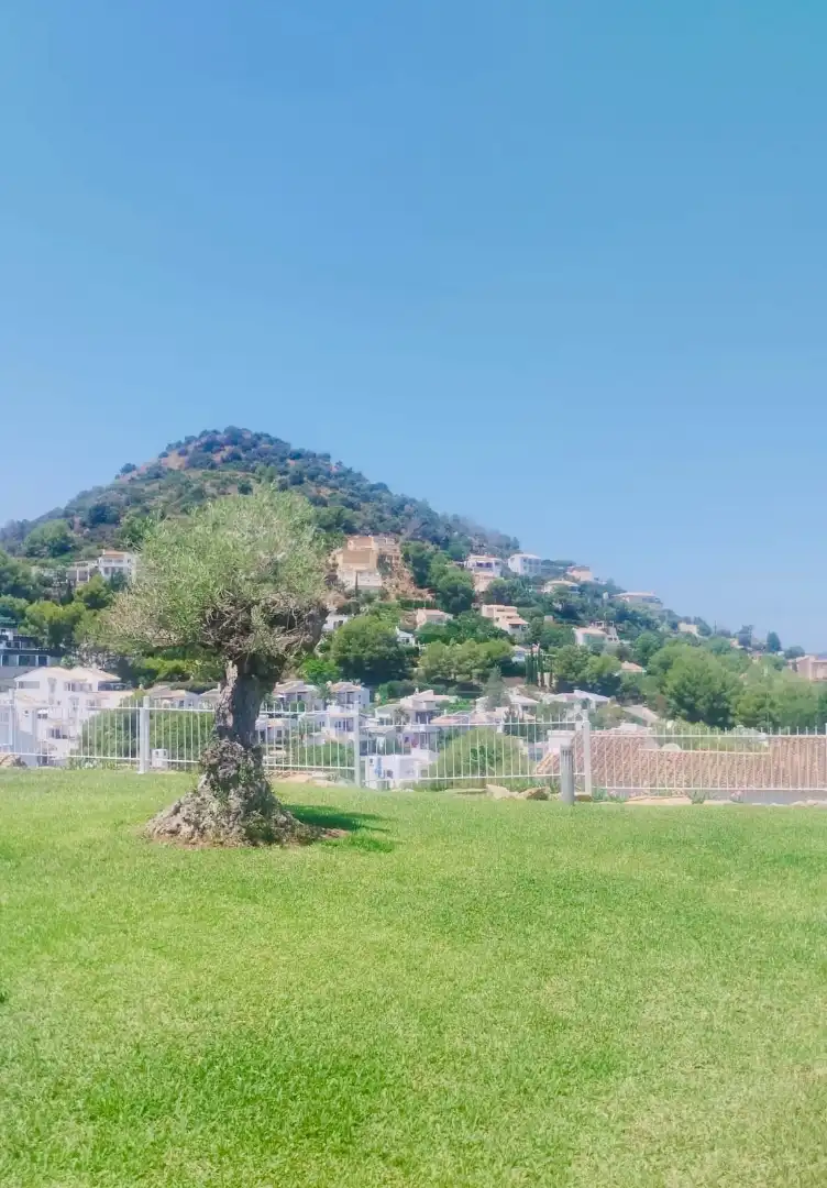 Attique avec piscine à vendre à La Xara - La Sella, imagen 12
