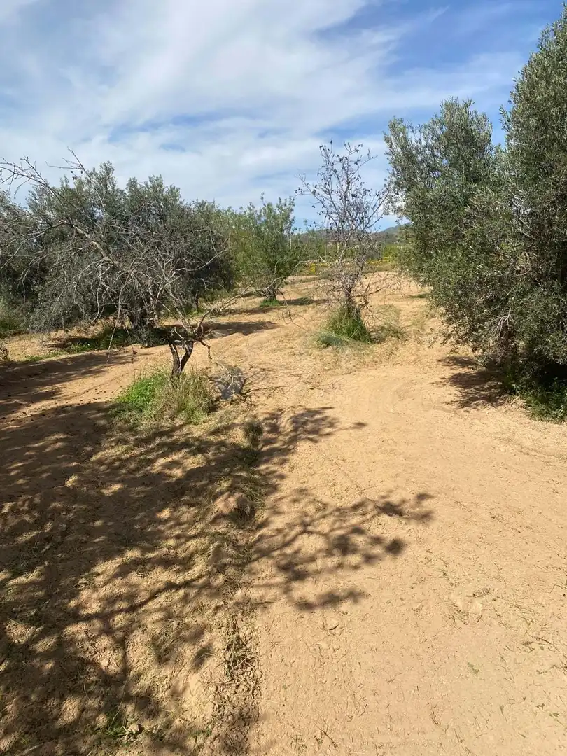 Casa en venta en Campo de Murcia, imagen 23
