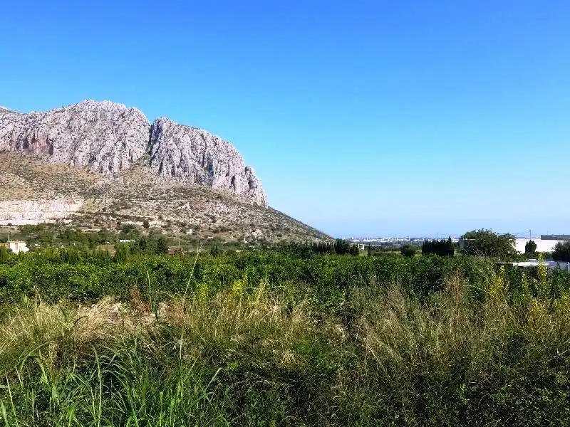 Terreny rústic en venda a Ondara, imagen 14