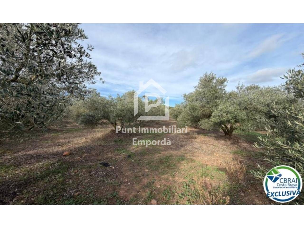 Land for sale in Roses