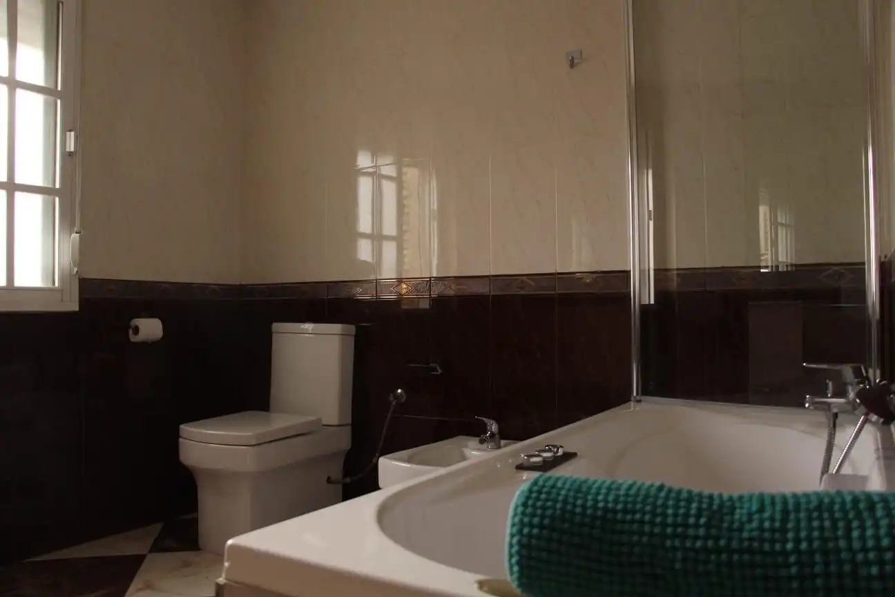 Baño de Casa o chalet en venta en Padul