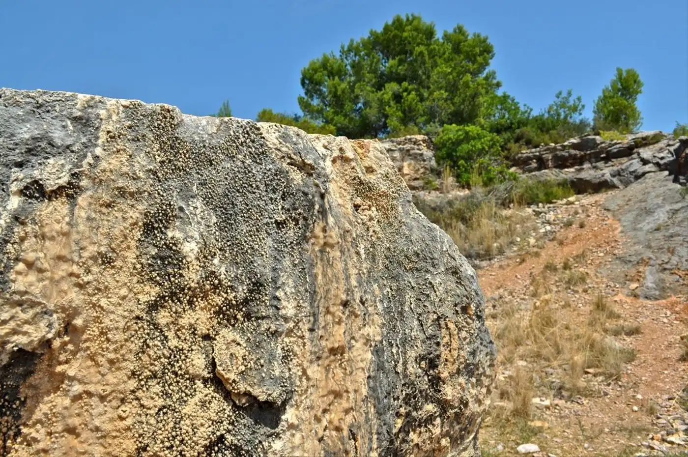 Land for sale in Camí del Barranc de la Llet, 26, Sant Llàtzer