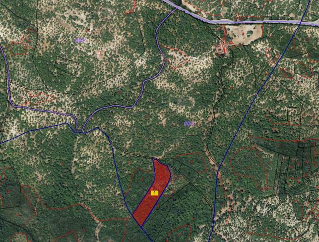 Terreno en Venta en  Polígono 4 Parcela 1 Fuenteheridos, España en Castaño del Robledo