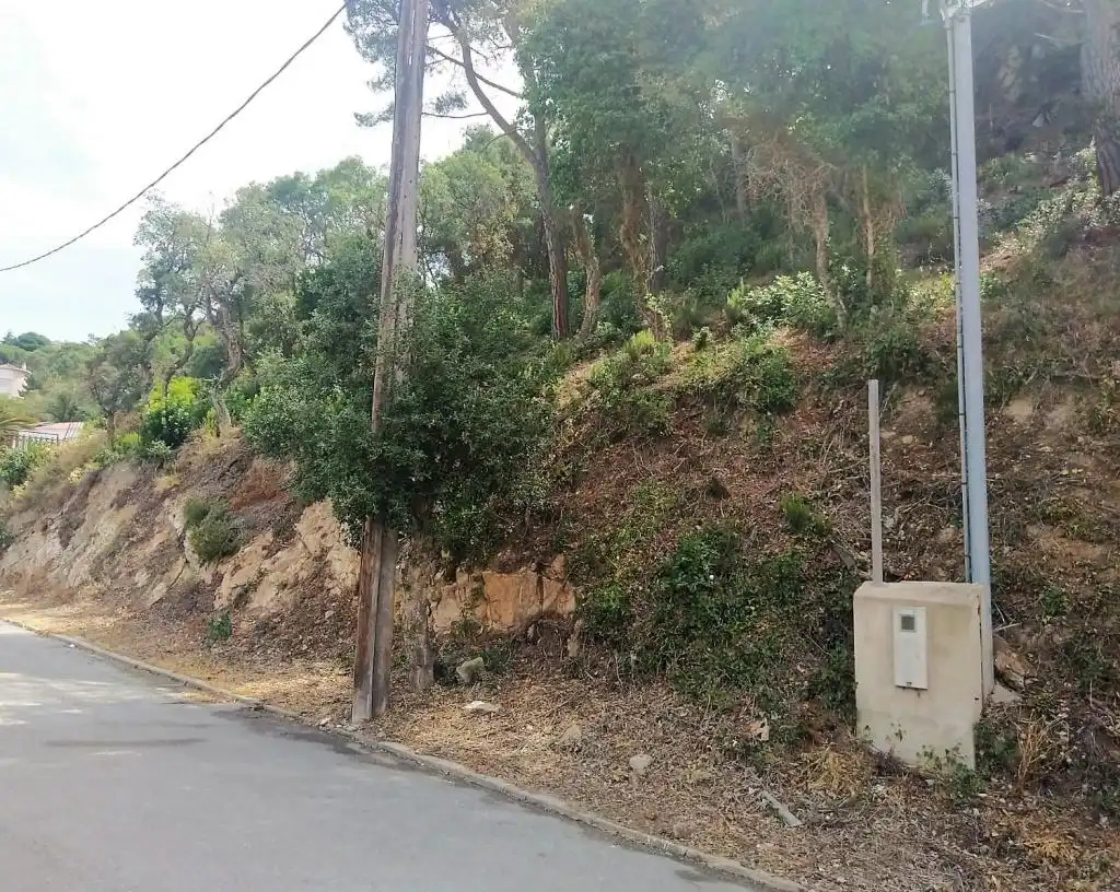 Terreno residencial en venta en Serra Brava, imagen 5