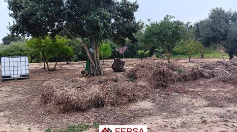 Photo 2 of House or chalet for sale in Cuatro Pinos - El Carmen, Cádiz