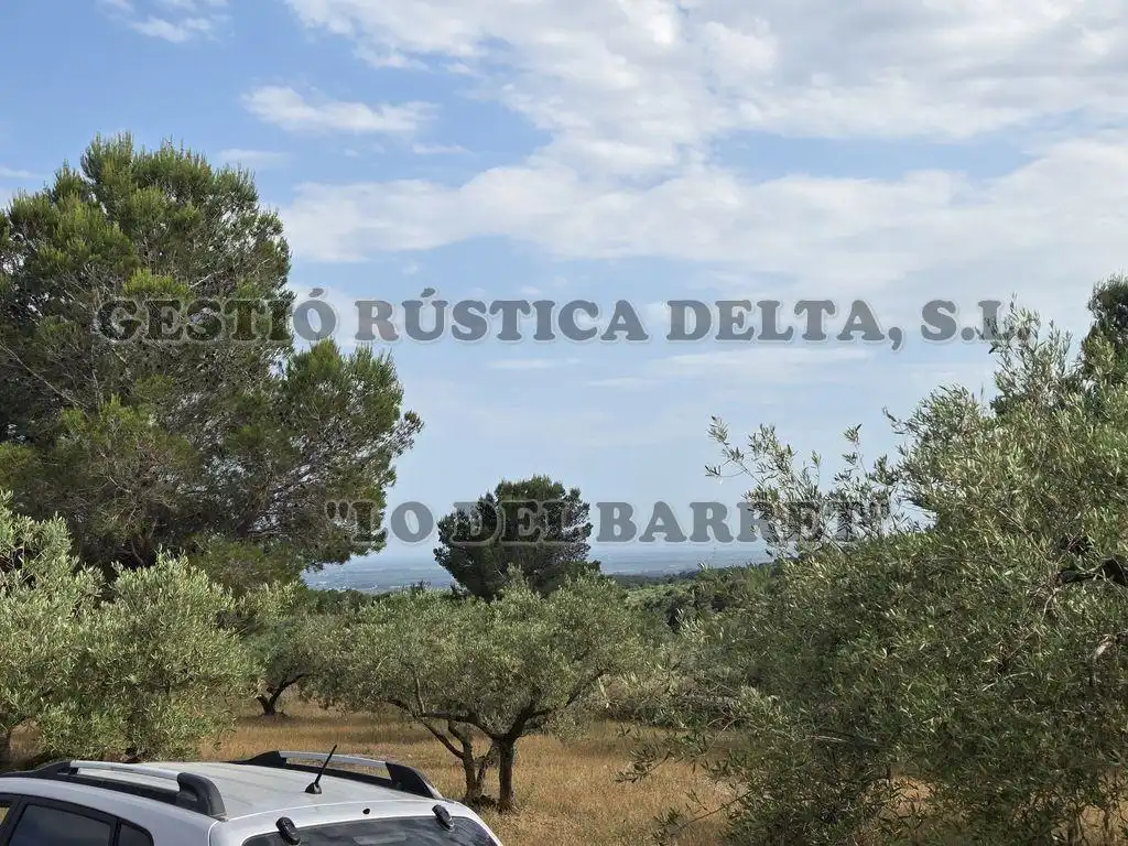 Finca rústica en venda en El Perelló