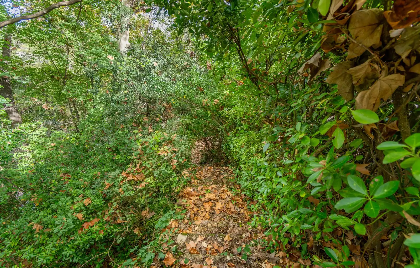 Villa mit Garten zum Verkauf in Calle De La Resclosa 7, imagen 48