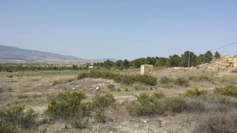 Villa avec jardin à vendre à Fortuna, imagen 57