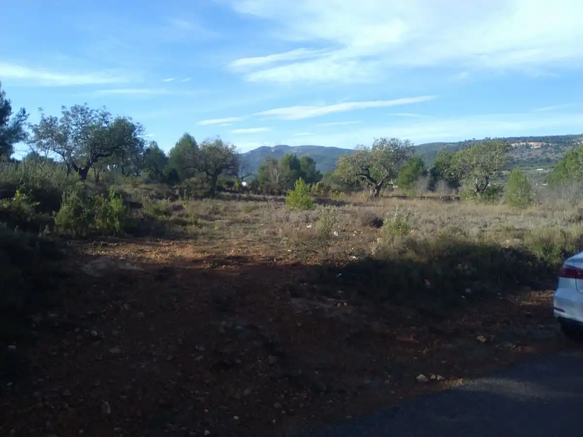 Terreno residencial en venta en Algímia de Alfara, imagen 6